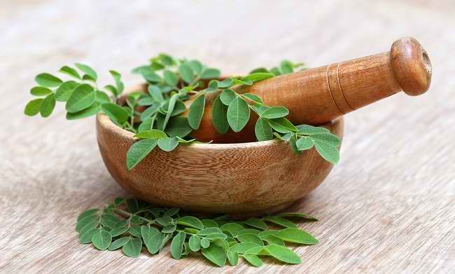 Moringa Yaprağının Sağlığa 6 Faydası