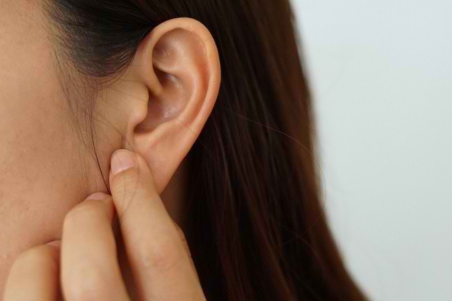 التعرف على تشريح الأذن وعملية السمع
